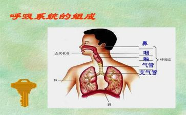 2024年呼吸科护士工作总结7篇