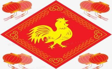 小鸡的教案语言教案5篇