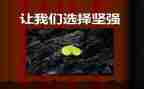 我变得坚强作文5篇