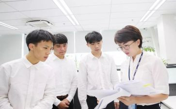 见习年工作总结优质6篇
