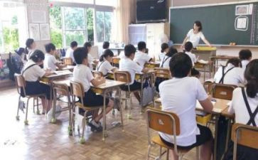 教师见习期的工作总结优质5篇