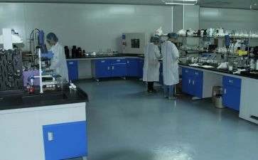 检验室年度工作总结推荐7篇