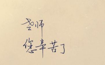 体育教师年终个人总结5篇
