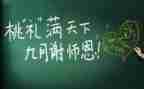 教师年度个人年度总结最新5篇