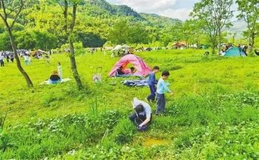 郊游活动总结5篇