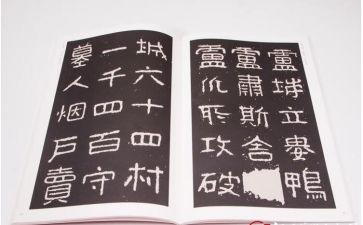 晋高述职报告6篇