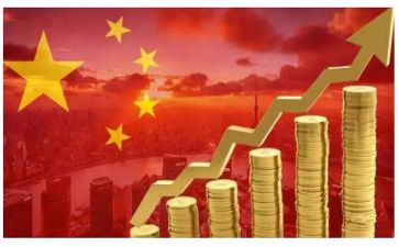 2024经济调查调查报告8篇