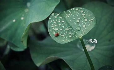 24节气的心得体会8篇
