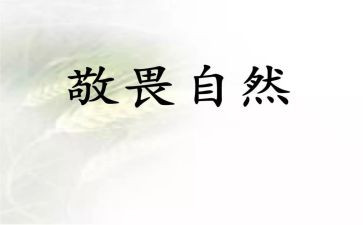 关于敬畏的作文6篇