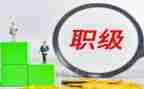晋升高级述职报告范文5篇