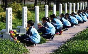 清明祭扫墓活动方案精选6篇