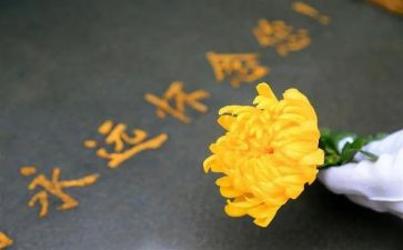 清明祭扫墓活动方案最新5篇