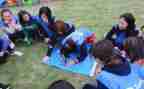 小学语文集体活动总结5篇