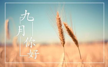 九月中班工作总结5篇