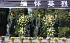 清明祭英烈班会课教案6篇
