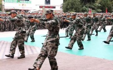军训心得体会模板优秀7篇