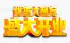 领导开业致辞稿最新8篇