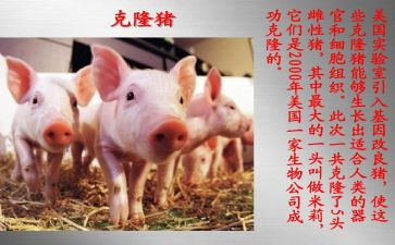 克隆有关的作文5篇