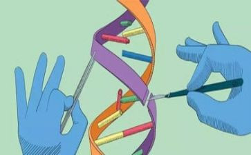 科学活动大班教案通用6篇