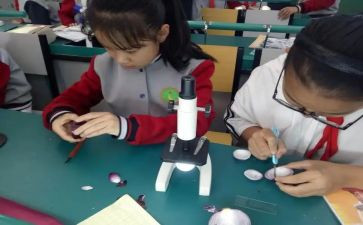 科学课教师述职报告范文5篇