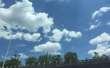空气的调查报告5篇
