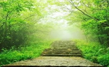 苦难读后感7篇