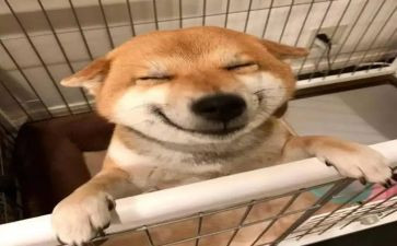 高中音乐教师总结个人总结7篇