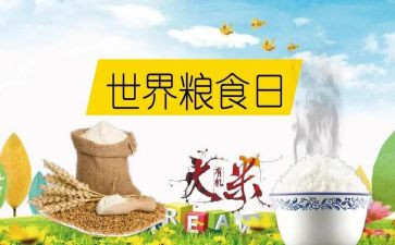 学校粮食节约活动总结6篇