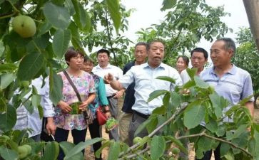 李保国先进事迹6篇