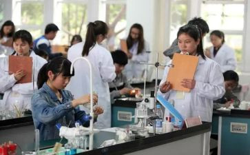 理化组教研工作计划推荐8篇