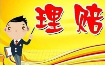 保险公司理赔员年终总结7篇