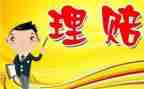 保险公司理赔员年终总结7篇