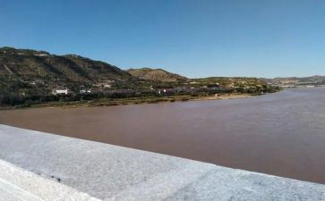 柳林的风声读后感8篇