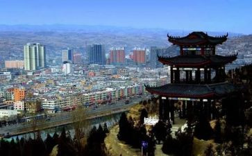 柳林的风声读后感通用5篇