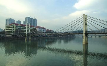 柳林读后感400字7篇