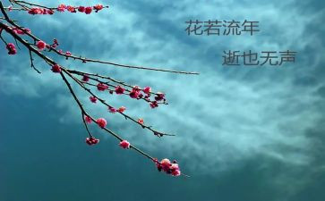 2024年物流年终总结最新5篇