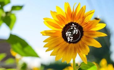 六月份中班工作计划5篇