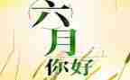 中班六月份月计划优质8篇
