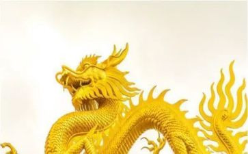 龙的故事读后感最新8篇