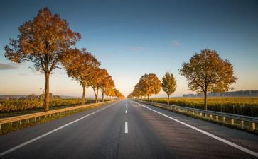 道路安全讲话稿8篇