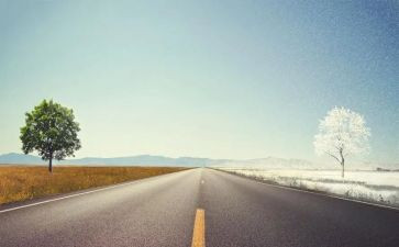 道路安全交通心得体会5篇