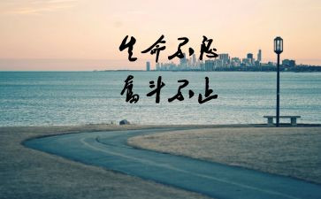 努力的人作文模板6篇