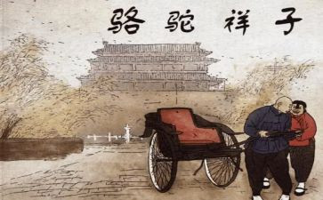 骆驼读后感600字6篇