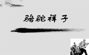 小骆驼教案5篇