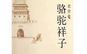小骆驼教案模板7篇