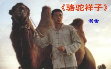 《骆驼》读后感参考8篇