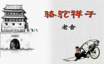 骆驼读后感600字参考7篇