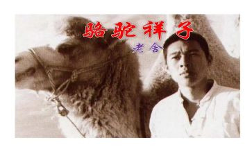 大骆驼教案5篇