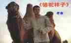 《骆驼》读后感优秀6篇