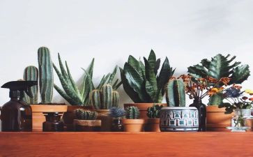 创建绿色学校工作计划8篇